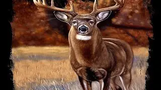 Hunting (watch full video) #hunting #outdoors #buckhunting #bigbucks #youtube #nature #bucks
