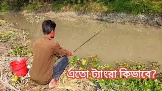 Fishing Video | So many tangra fish in the canal | Hook fishing