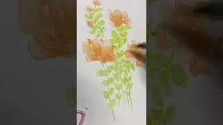 Magic of watercolour pencils #watercolor #watercolorpencils #watercolorpainting