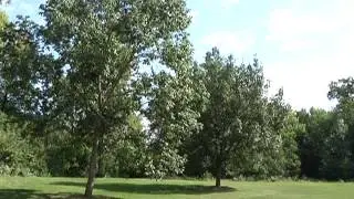 Fighting to End Remediation Work McDowell Grove