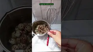 fungsi lain dari whisk adonan.#tips #creativity