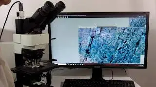 MICROVISIONEER manualWSI SOFTWARE FOR IMAGE STITCHING MICROSCOPY
