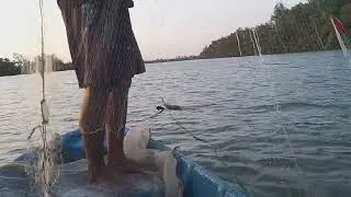 Thăm lưới cá úc sông cồn chim