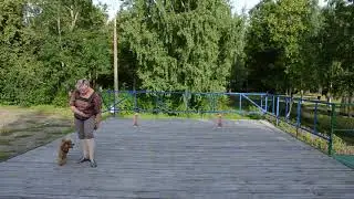 Newcomers. Alekseeva Aurika and Alf. Friends. Новички  Алексеева Аурика и Альф. 
