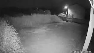 ​The Silent Yard​ &ndash; December 31,  2025