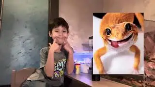 2.ЭУБЛЕФАР ЭУБЛЕФАР И ЕЩЕ РАЗ ЭУБЛЕФАР