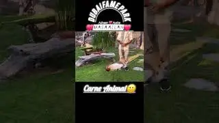 Adnaan Sheikh And Aysha Dubai | Fame Park | Carne Animal #shots #adnaanshaikh