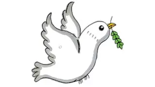 How to draw a Dove easy step by step 🕊️🕊️🕊️