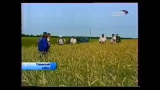 Виды на урожай в Тяжинском районе (7 августа 2007 г.)