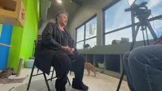 PAW IT FORWARD: East Texas woman gives abandoned and in-need cats a second chance