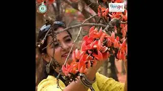 Palash in Purulia