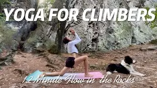 12- Min Yoga For Climbers | Upper Body, Core & Balance