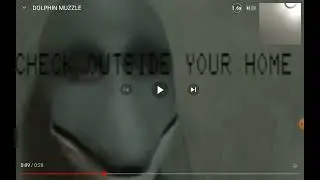 Bonzo Bunny Reacts To Dolphin Muzzle (NorthFur REACTION )