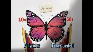 مقارنة وأختيار أفضل ألوان للرسم