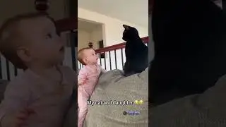 Cats vs Kids: Cute or Chaos?!