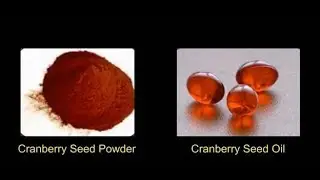 Cranberry Seed Protein Powder Break Through