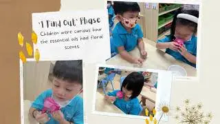 K1 Apple (English) WoW Project