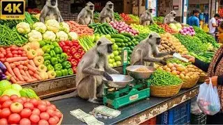बंदरों ने सब्जी की दुकान लगाई 😱 Monkeys set up a vegetable stall. Monkey vegetables Shop 