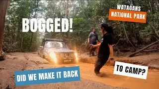 Watagans National Park (4WD tracks & Camping)