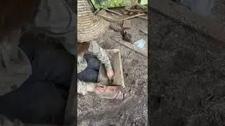 Building a pig trough #offgrid #homesteading