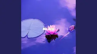 Marvellous Moods for Abstract Moods