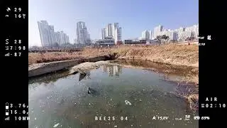 fpv 5개월차 갑천 주변(bee25)