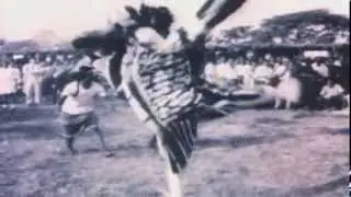 SONNY MAT D - Bodies