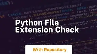 python file extension check