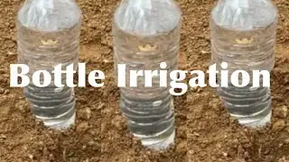 How to Make Drip Irrigation from Plastic Bottle/Self Watering System for Plants