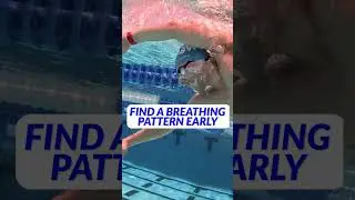 5 Tips to Swim a Faster 500 Free