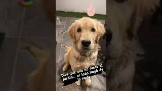 No rasque el jard&iacute;n