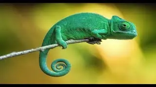 How To Blend In