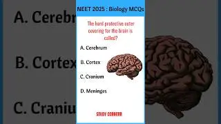 NEET Biology Most Expected Questions 2025 | Biology KCET 2025 MCQ Questions #neet2025exam #kcetexam
