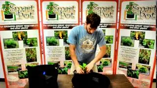 Выращивание бананов с помощью Smart Pot