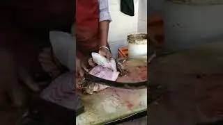 Halibut fish skin out  very finishing cutting is Chennai