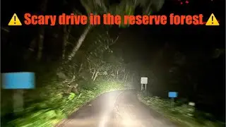 Thrilling Night Drive: Munnar to Vattavada Through the Reserve Forest | Munnar to Vattavada Roadtrip