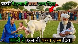 #video #viral Bakri Ne INSANI Baccha Janam diya?#islamic