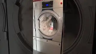 Electrolux Line 6000 t&oslash;rretumbler - 65 kg - #autism #blind #rens #autisme #renseri
