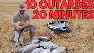 Chasse de fou &agrave; l'outarde! Limite en 20 minutes! Chasse, cuisine, manger