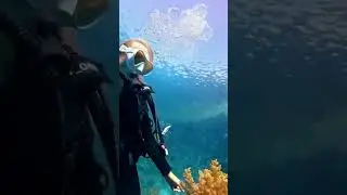 Diving 🤿🧜&zwj;♀️#shorts