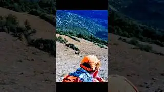 охота на дикого кабана на открытой местности.#wildboar #hunting#chase #cinghiale#challenge#chasse