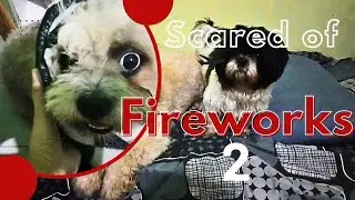 SCARED OF FIREWORKS 2 