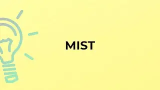 What is the meaning of the word MIST?