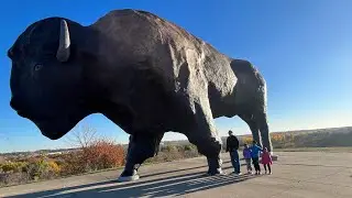 World&rsquo;s Largest Buffalo at National Buffalo Museum, Jamestown, ND #travelvlog #northdakota