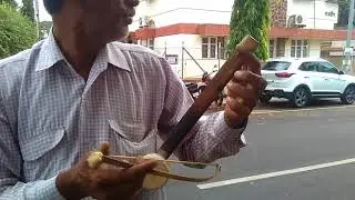 Indian street violin