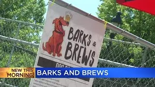 Barks & Brews