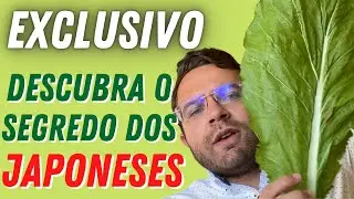 FOLHA DE MOSTARDA | POR QUE OS RICOS SÓ QUEREM COMER ISSO? Não é pelo preço... | Dr. João Migowski