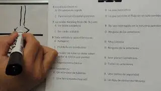 PRUEBA PAILERIA ARMADOR TUBERO INDUSTRIAL 2/9