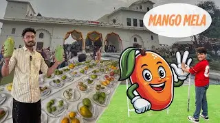 Mango Mela Pinjore Garden 2025 || 100 Types of Mangos 🥭
