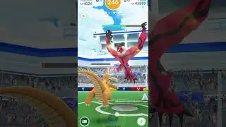 Yveltal Raid #pokemon #pokemongo #pokemongoraids #pogoraids #yveltal #yveltalraids